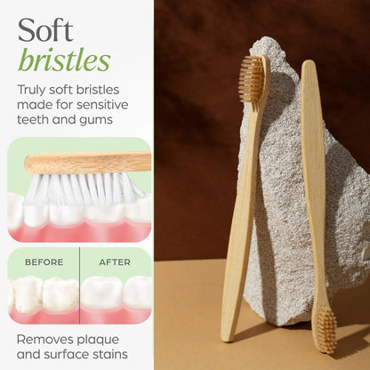 Premium Wall Mounted Toothbrush Holder Set (1 Set)
